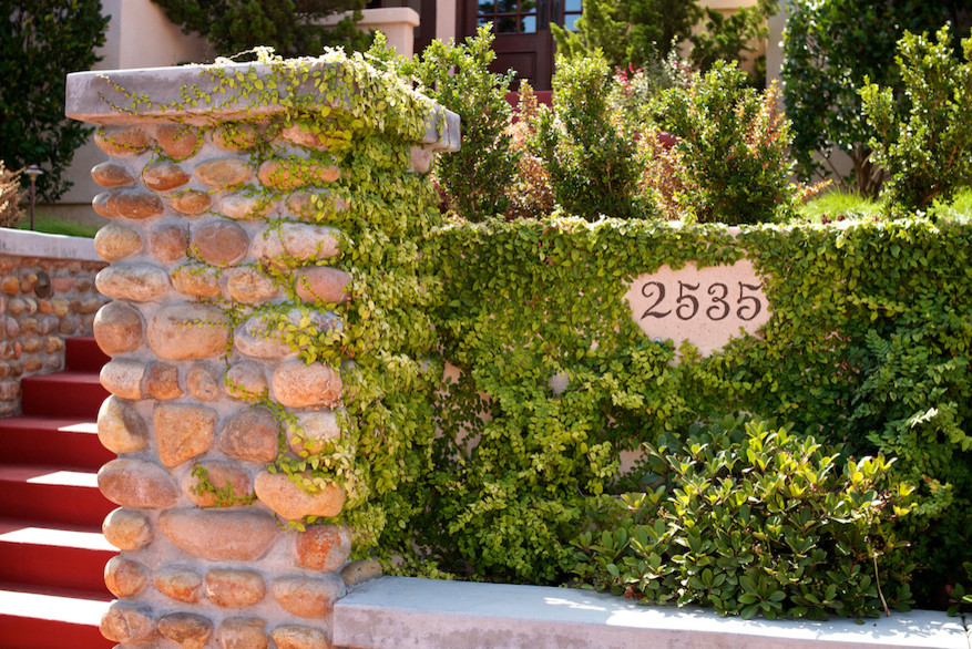 Diseño de camino de jardín contemporáneo de tamaño medio en patio delantero con exposición parcial al sol y adoquines de hormigón