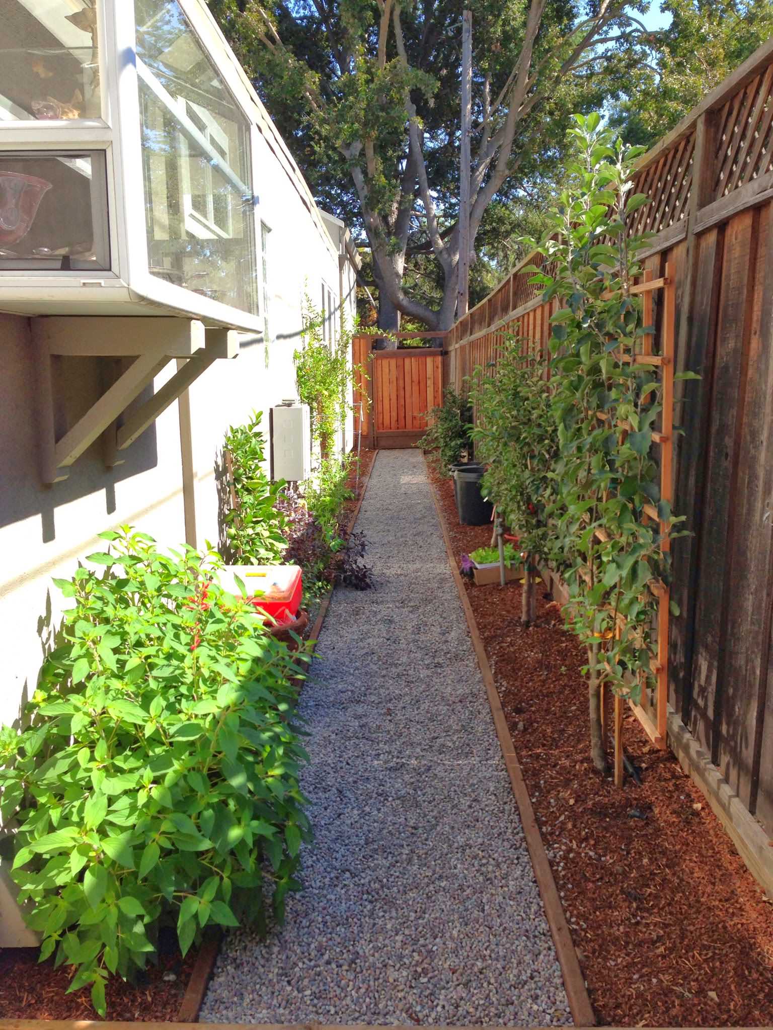 75 Beautiful Side Yard Vegetable Garden Landscape Pictures Ideas January 2021 Houzz