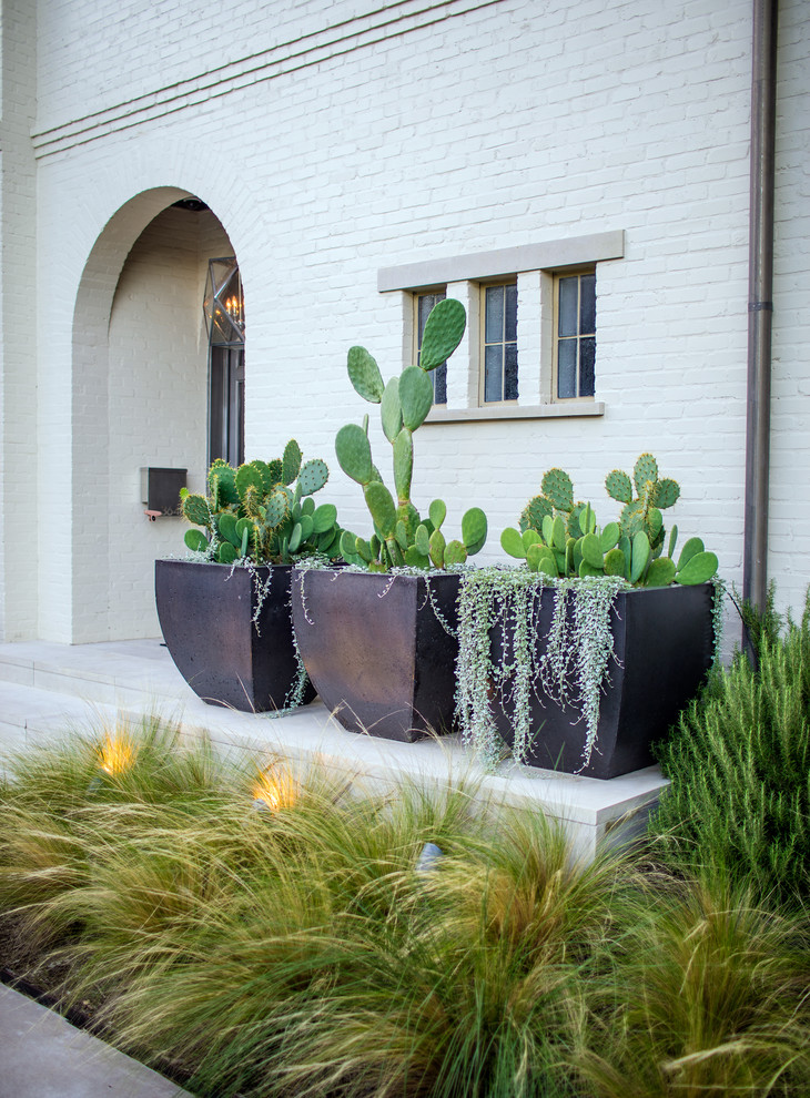 Photo of a small classic front partial sun garden for summer in Dallas with a potted garden.