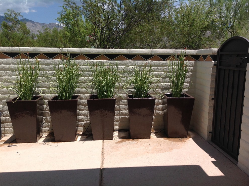 This is an example of a small contemporary shade courtyard landscaping in Phoenix.