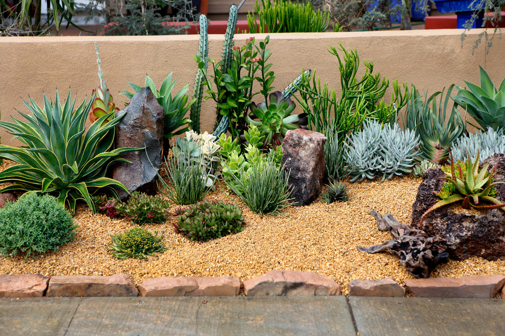 This is an example of a xeriscape garden in San Diego.