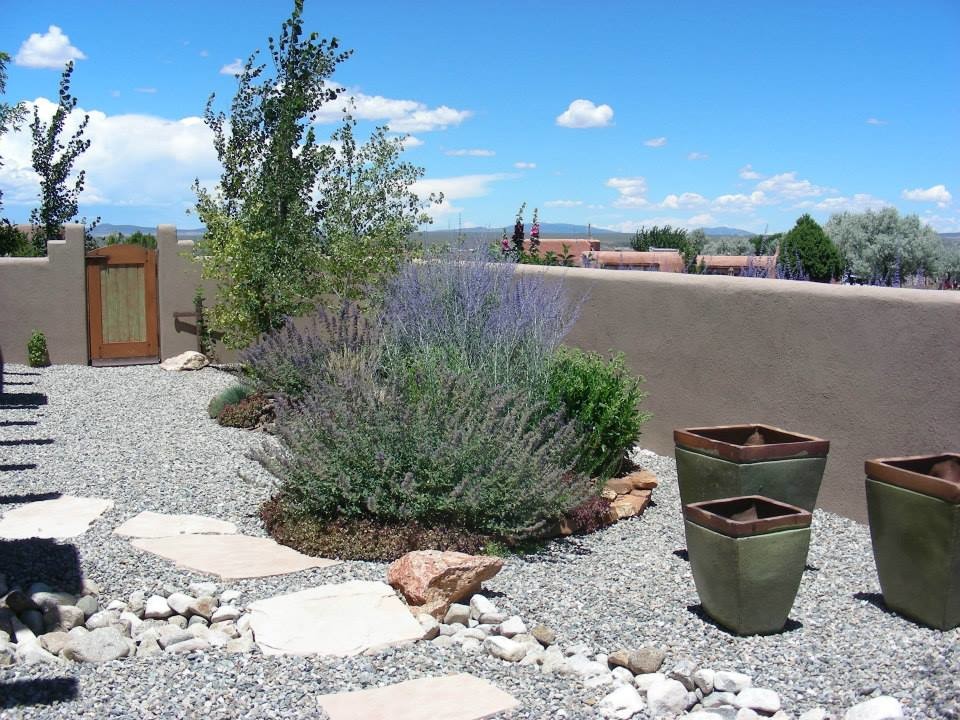Foto di un grande giardino american style esposto in pieno sole dietro casa con un ingresso o sentiero e ghiaia