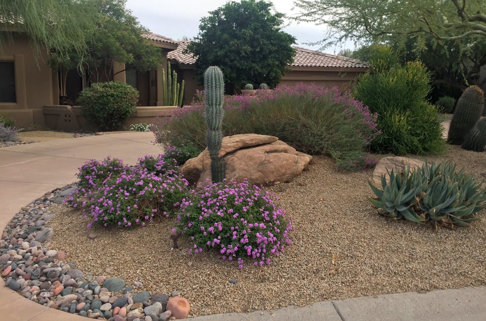 Photo inspiration: Picture Idea: Southwestern Plants Southwestern Landscape Phoenix