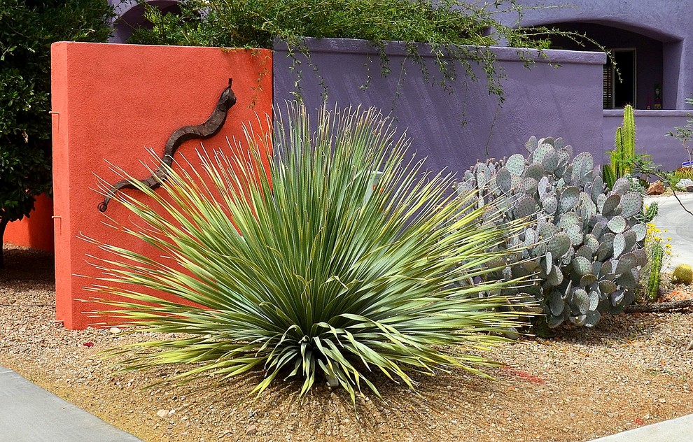 Design ideas for a southwestern landscaping in Phoenix.