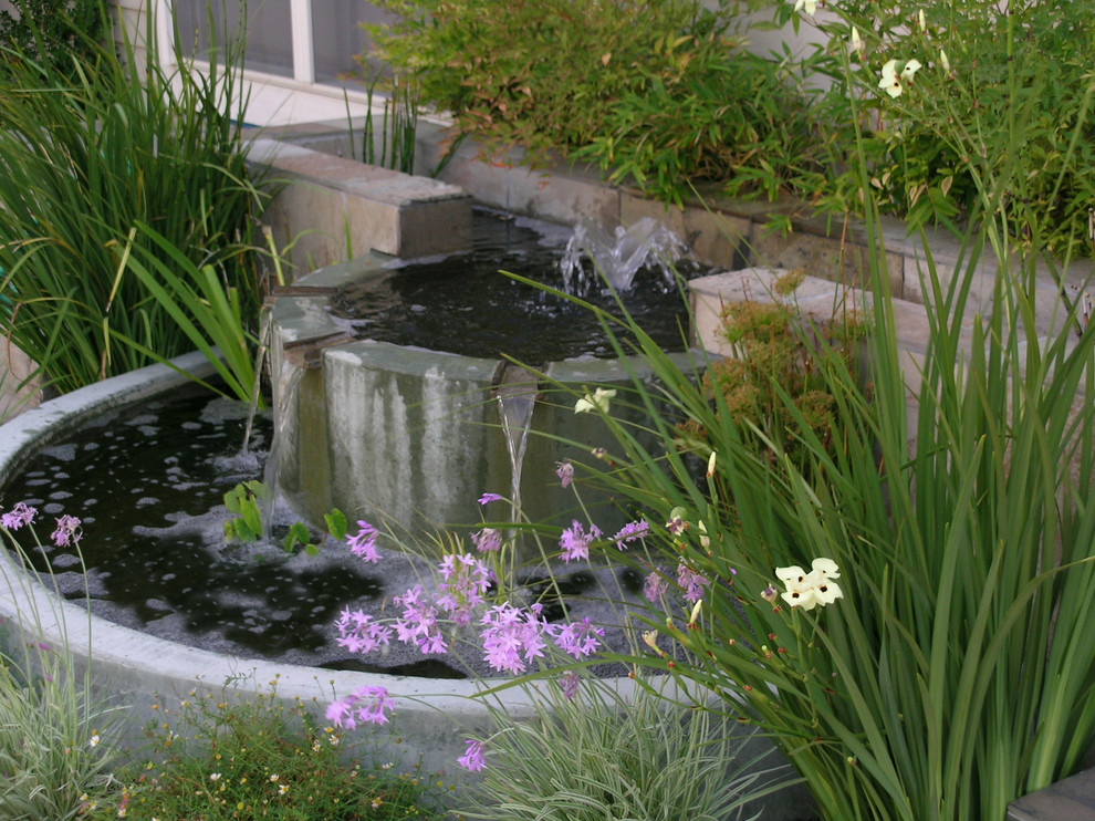 Cette photo montre un jardin tendance avec un point d'eau.