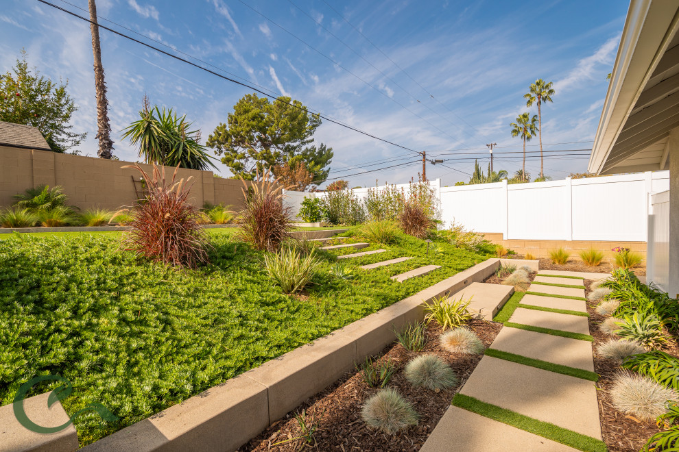 Immagine di un grande giardino xeriscape minimal esposto in pieno sole dietro casa in primavera con scale, pavimentazioni in cemento e recinzione in PVC