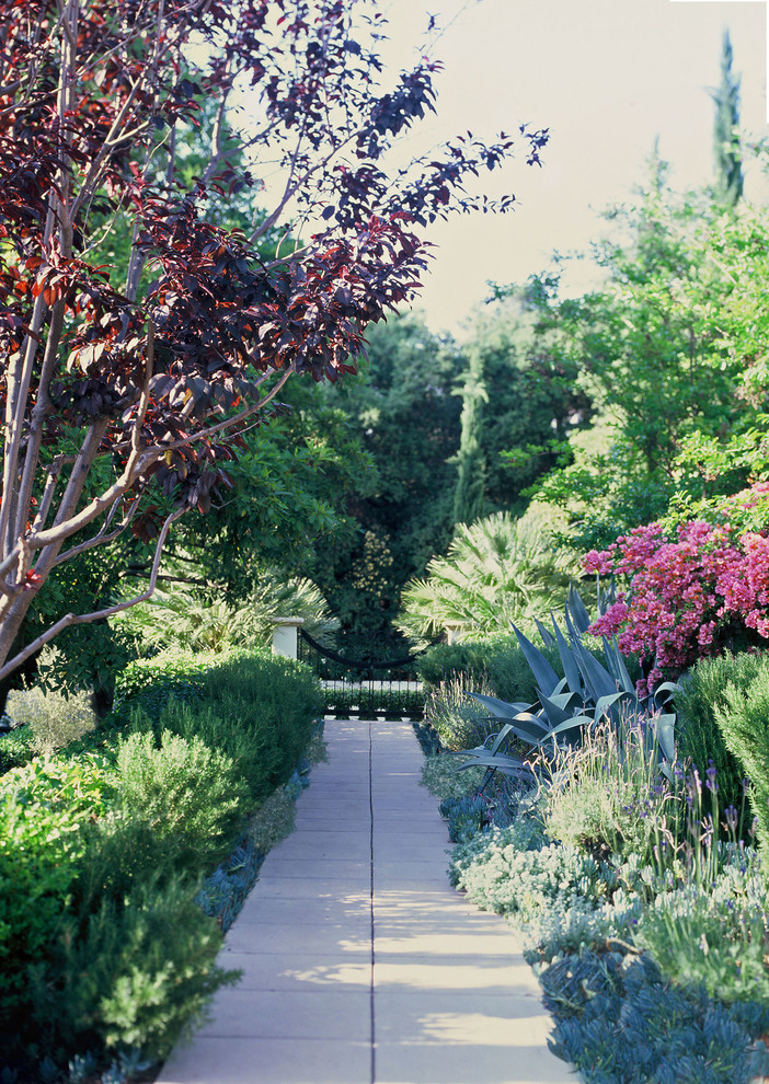 This is an example of a huge mediterranean formal garden in Los Angeles.