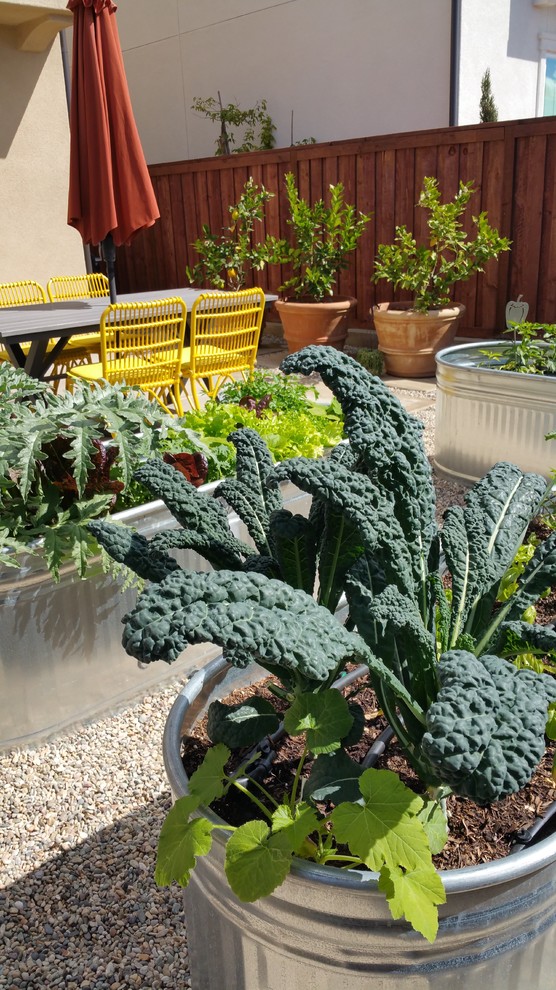 This is an example of a mediterranean full sun backyard gravel vegetable garden landscape in San Diego.