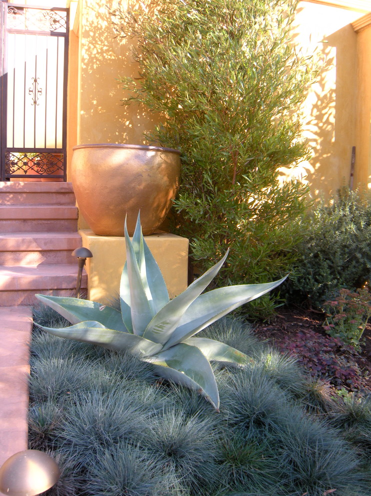 Inspiration for a large mediterranean drought-tolerant and partial sun side yard mulch landscaping in Los Angeles.