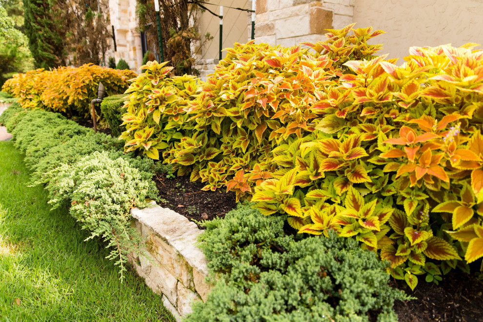 Spanish Style Home Raised Beds Mediterranean Landscape Houston