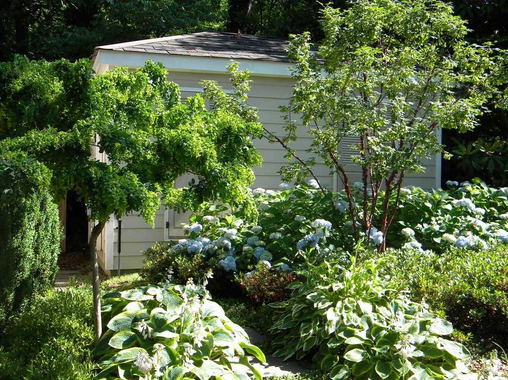 Specialty plants from Topiary Courtyard featured in landscapes - Traditional - Landscape