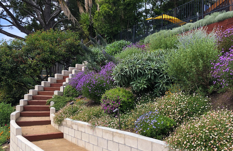 На фото: солнечный, весенний засухоустойчивый сад среднего размера на склоне в современном стиле с растениями в контейнерах и хорошей освещенностью с