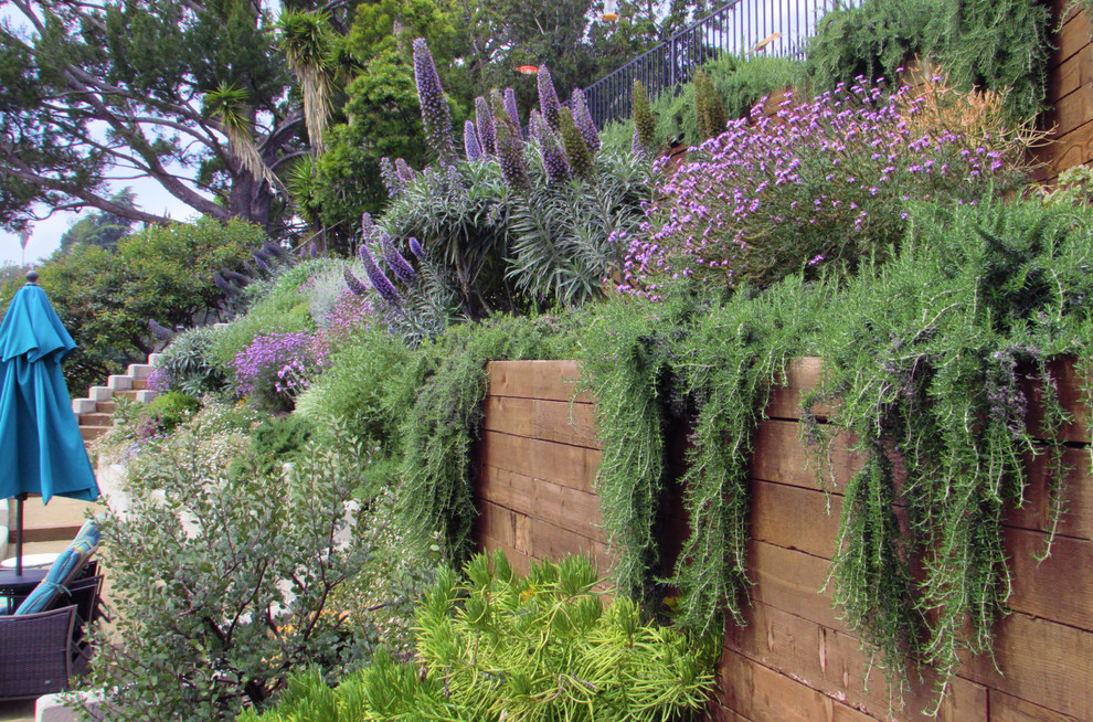 Idee per un giardino xeriscape contemporaneo esposto in pieno sole di medie dimensioni in inverno con un muro di contenimento e un pendio, una collina o una riva