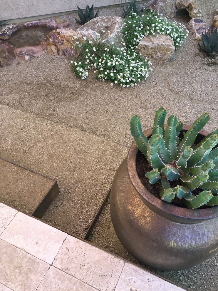 Modelo de jardín de secano moderno pequeño en patio trasero con exposición total al sol y adoquines de piedra natural