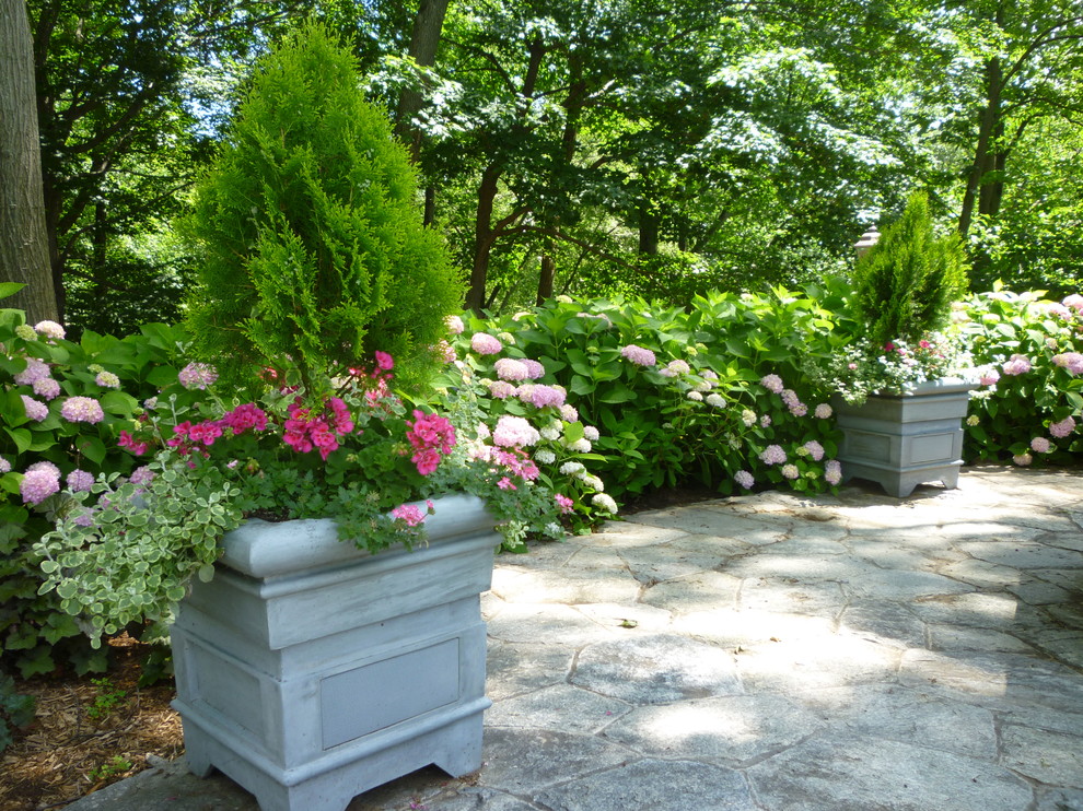 Esempio di un grande giardino formale tradizionale esposto in pieno sole in estate con un giardino in vaso