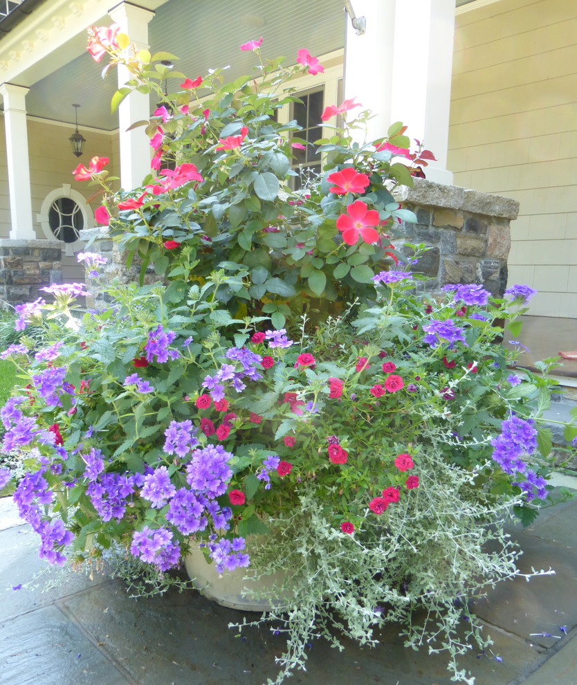 Ispirazione per un grande giardino tradizionale in estate con un giardino in vaso