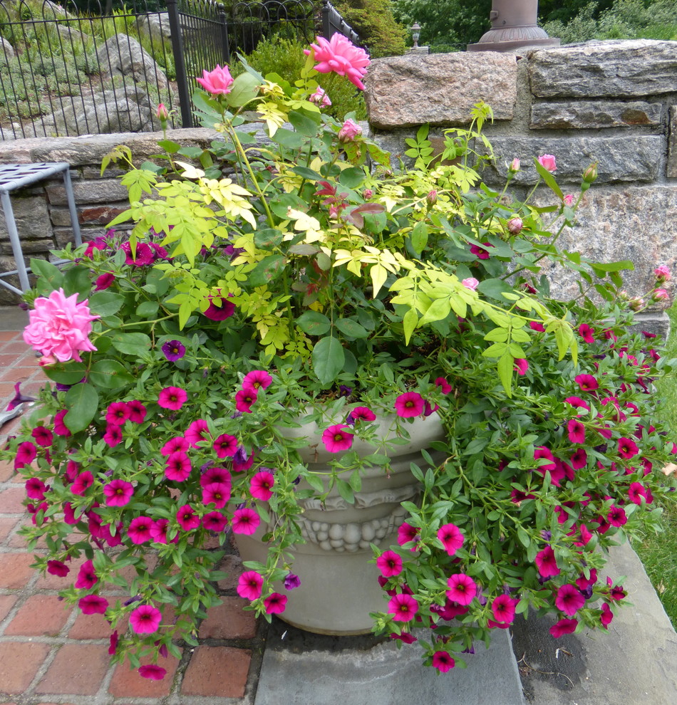 Ispirazione per un grande giardino formale chic esposto in pieno sole in estate con un giardino in vaso