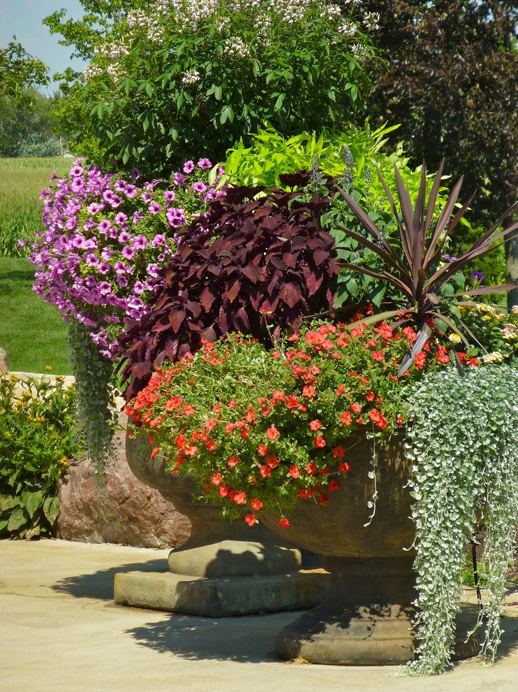 Diseño de jardín tradicional pequeño en verano en patio trasero con jardín de macetas y exposición total al sol