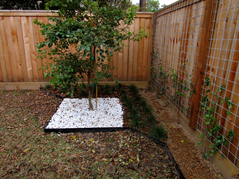 Idée de décoration pour un jardin minimaliste de taille moyenne.