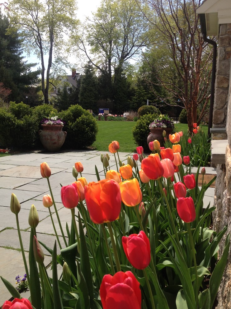 Inspiration for a mid-sized traditional full sun front yard stone landscaping in Boston.