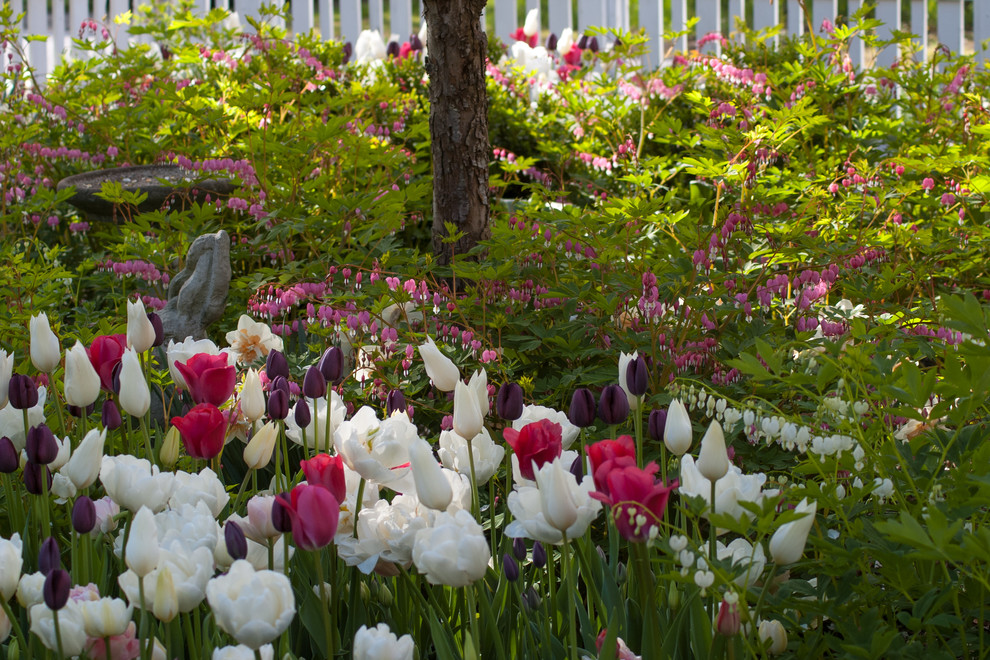 Spring Bulb Garden - Traditional - Landscape - Boston - by a Blade of ...