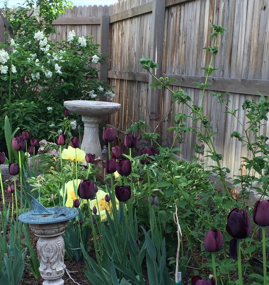 Стильный дизайн: маленький весенний засухоустойчивый сад на заднем дворе в стиле неоклассика (современная классика) с садовой дорожкой или калиткой и полуденной тенью для на участке и в саду - последний тренд