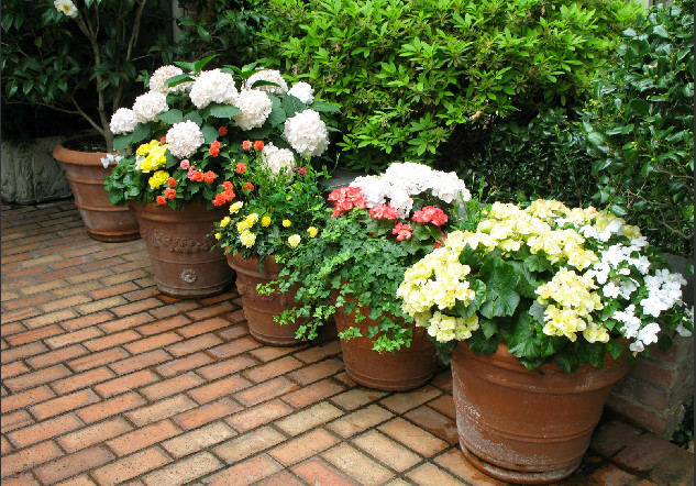 Идея дизайна: весенний регулярный сад на заднем дворе в классическом стиле с полуденной тенью