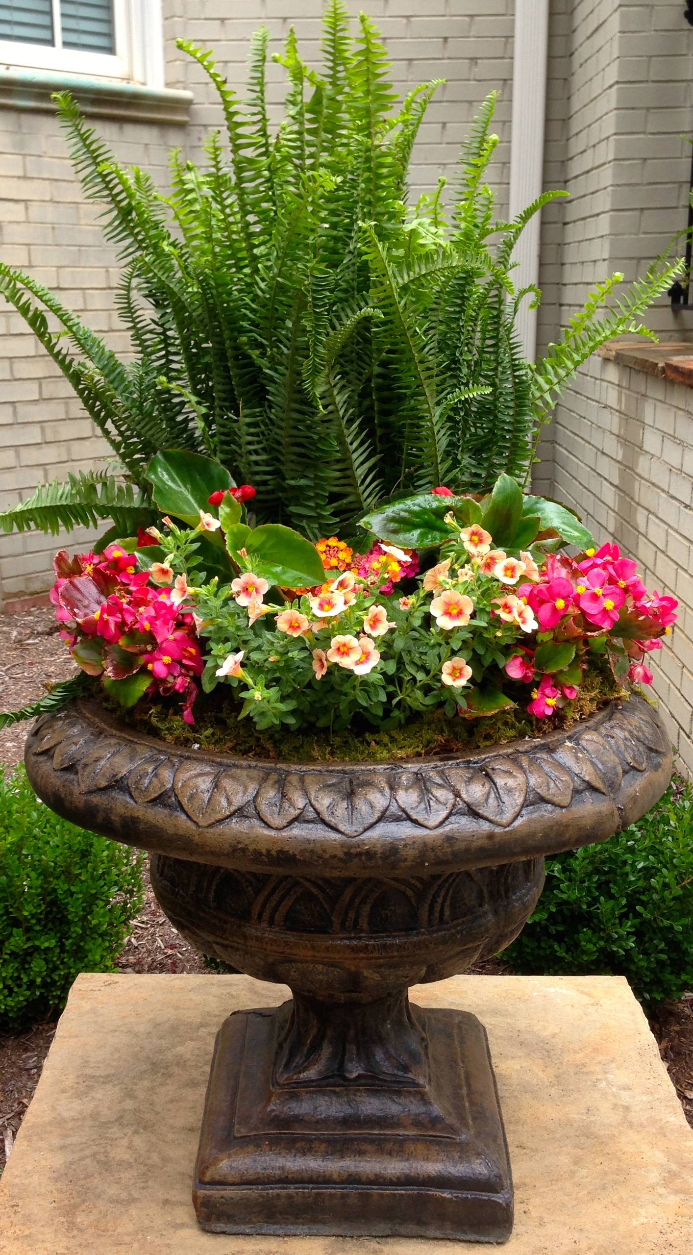 Large Planter Container Designs FS1215: Outdoor Container Gardening