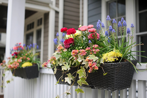 お手入れが楽な庭をつくるには Houzz ハウズ