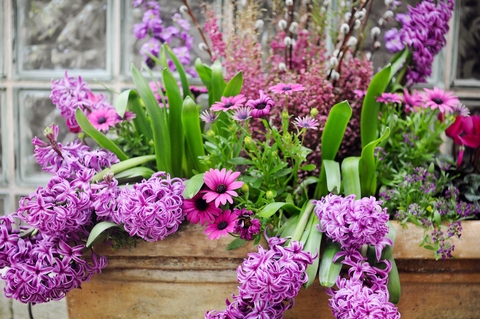 Foto di un piccolo giardino chic esposto in pieno sole davanti casa in primavera con un giardino in vaso