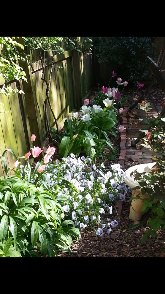 Geometrischer, Schattiger Klassischer Garten im Frühling, hinter dem Haus in Washington, D.C.