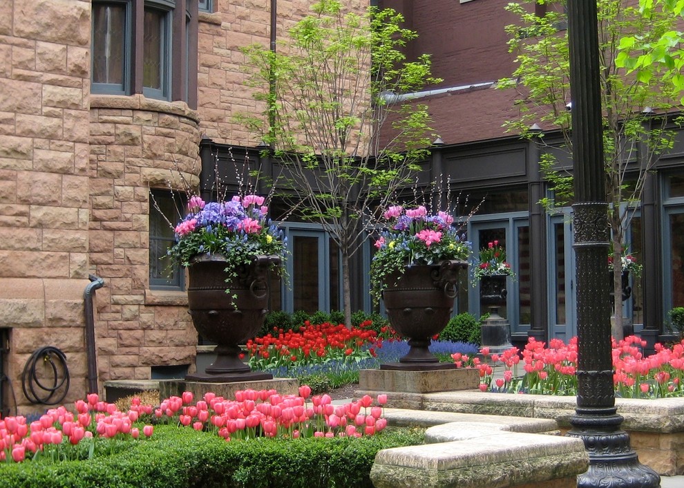 Großer Klassischer Garten im Frühling mit direkter Sonneneinstrahlung in Chicago