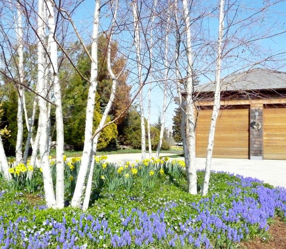 На фото: солнечный, весенний участок и сад на заднем дворе в классическом стиле с подъездной дорогой, хорошей освещенностью и покрытием из гравия с