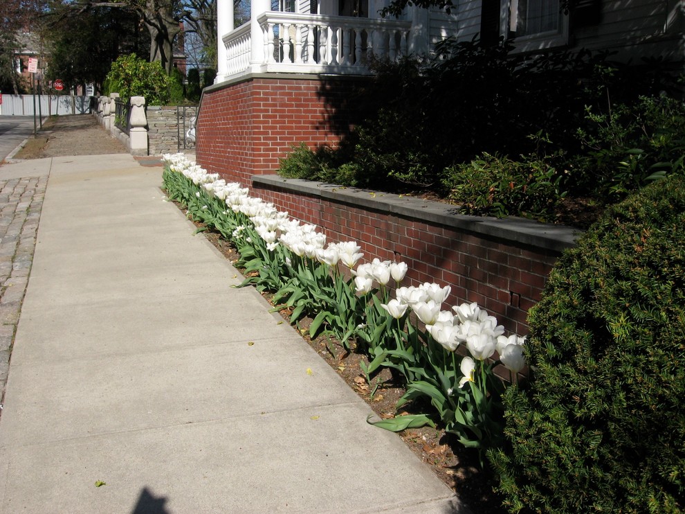 Immagine di un giardino formale classico esposto in pieno sole di medie dimensioni e davanti casa con un ingresso o sentiero e pacciame