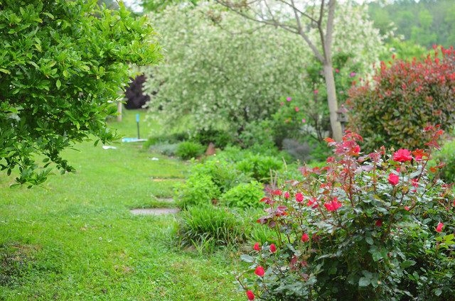 Spring Garden - Traditional - Garden - Philadelphia - by Amy Renea ...