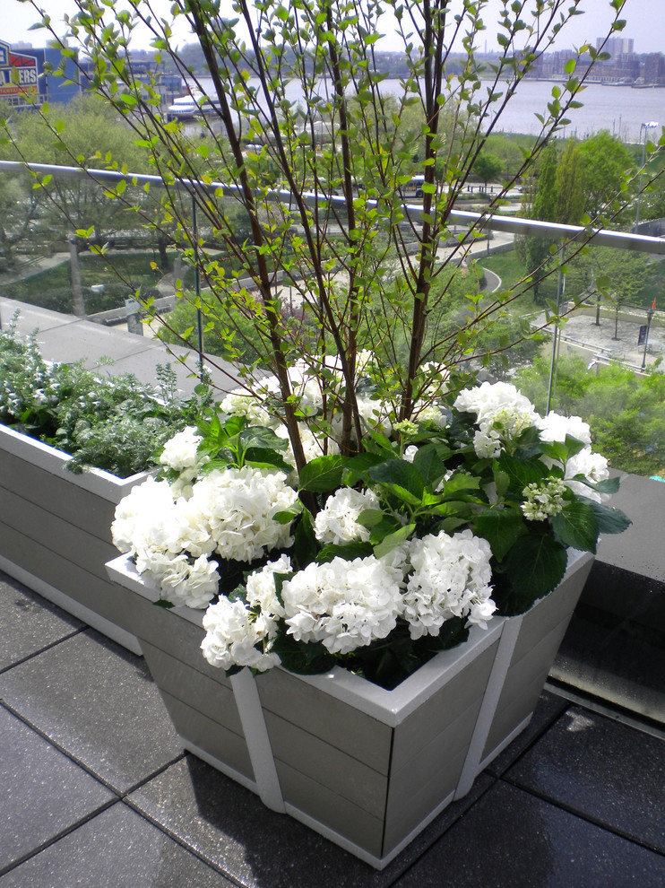 Inspiration for a transitional landscaping in New York.