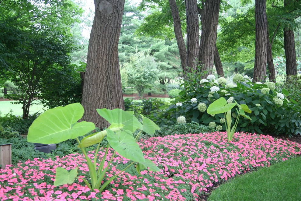 Immagine di un giardino chic