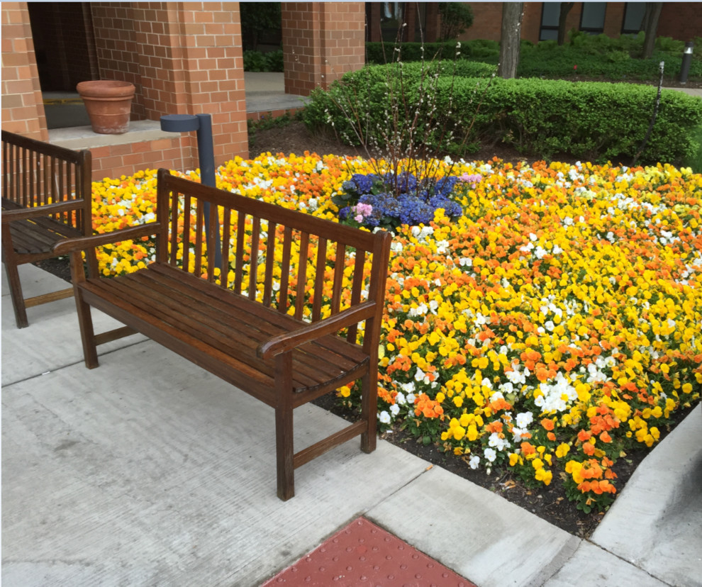 Spring Seasonal Color Craftsman Landscape Chicago by McAdam