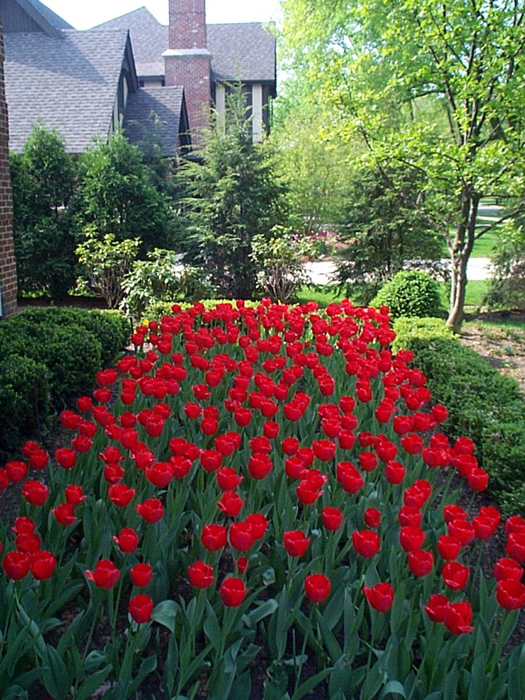 Kleiner Klassischer Garten im Frühling mit direkter Sonneneinstrahlung in Chicago