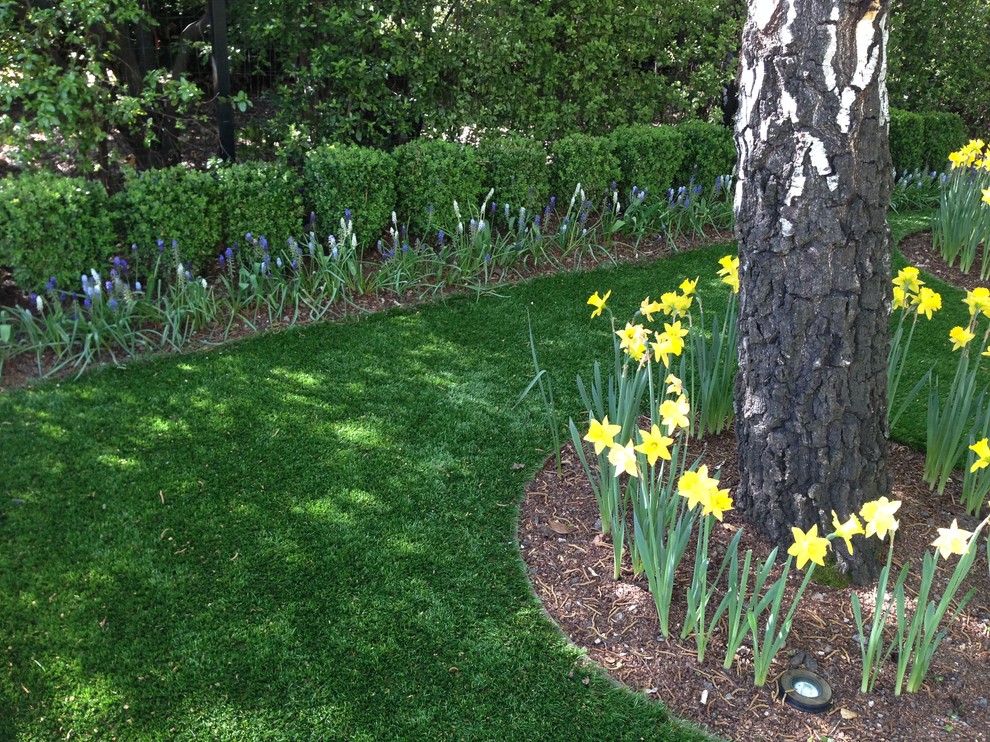 Idee per un giardino formale tradizionale esposto a mezz'ombra in primavera con pacciame