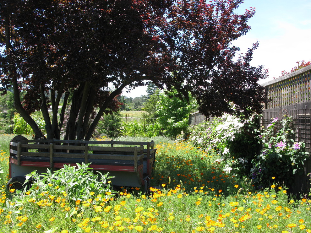 Immagine di un ampio giardino country dietro casa