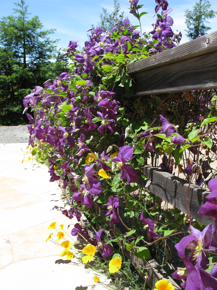 Foto de jardín campestre, extra grande, en patio trasero