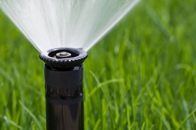 Sprinkler System Start Up | Wichita, Kansas - Have - Wichita - af Gabes Sprinkler  Systems | Houzz