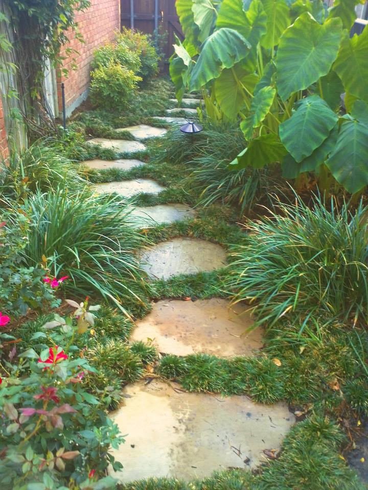 Esempio di un giardino formale tropicale di medie dimensioni e nel cortile laterale con un ingresso o sentiero e pavimentazioni in pietra naturale