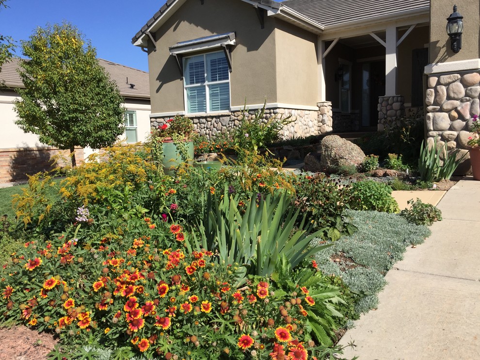 Idee per un grande giardino xeriscape american style esposto in pieno sole davanti casa con un ingresso o sentiero e pavimentazioni in cemento