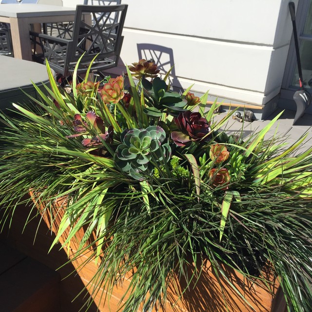 SPW OUTDOOR Classique Chic Jardin Calgary par Silk Plant