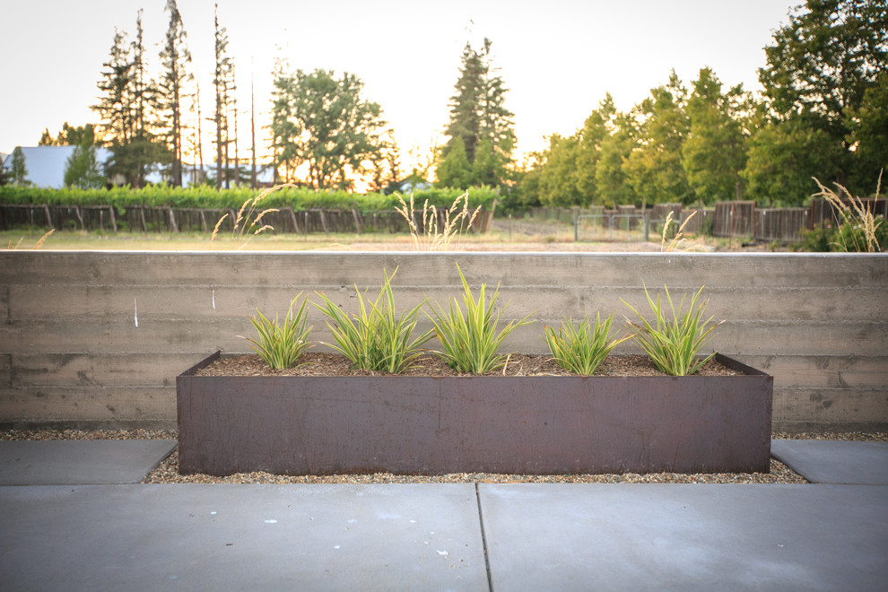 Inspiration for a large contemporary backyard gravel landscaping in San Francisco with a fire pit.