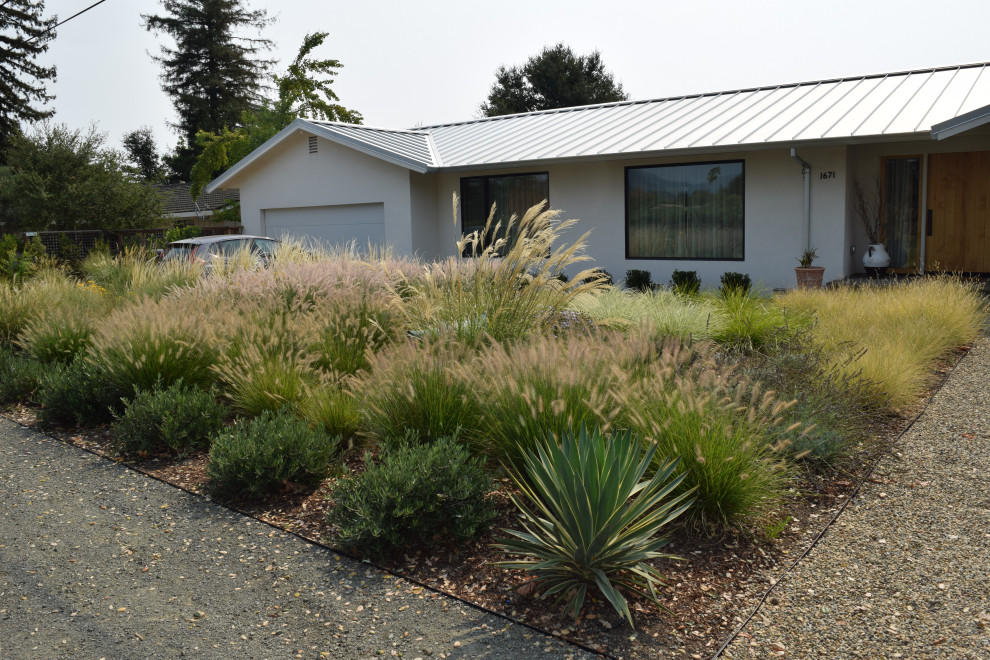 Design ideas for a mid-sized farmhouse drought-tolerant and full sun front yard gravel landscaping in San Francisco for fall.
