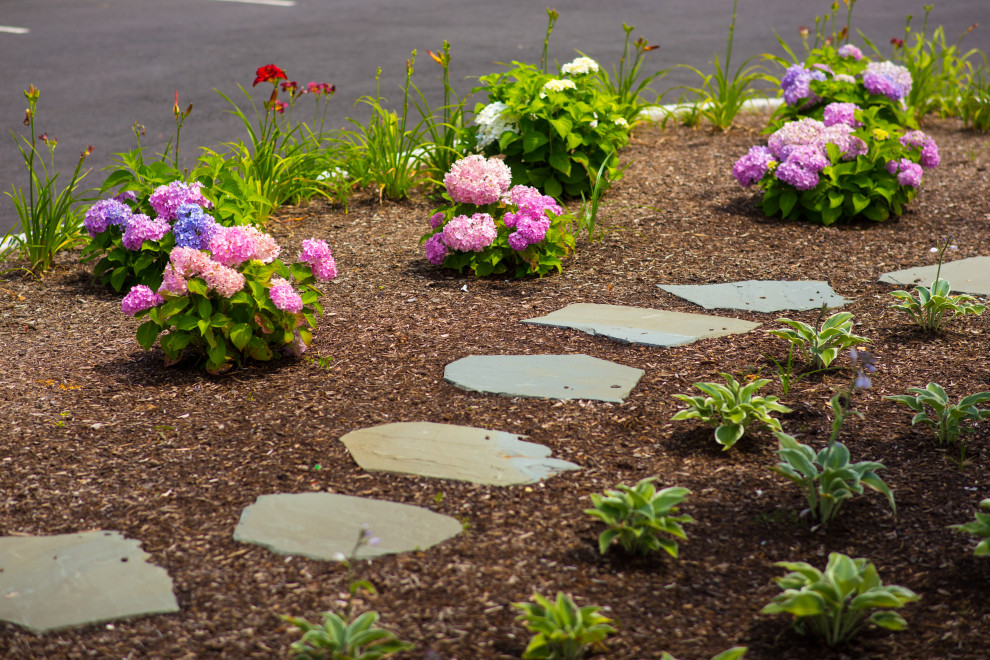 Esempio di un grande giardino formale vittoriano esposto in pieno sole in cortile in primavera con un ingresso o sentiero