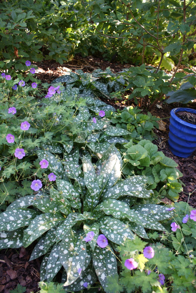 На фото: маленький регулярный сад на заднем дворе в стиле фьюжн с полуденной тенью, покрытием из каменной брусчатки и растениями в контейнерах для на участке и в саду с